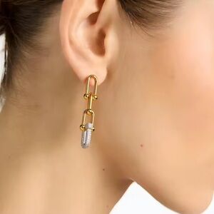 Elegant Gold and Silver Earrings